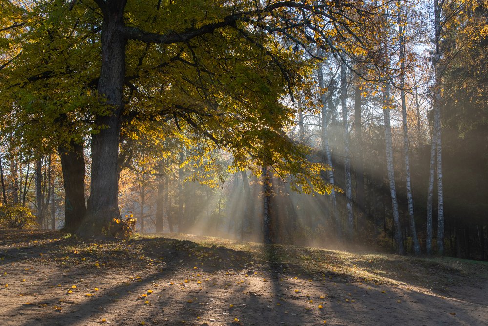 Photograph by Вячеслав Криволуцкий