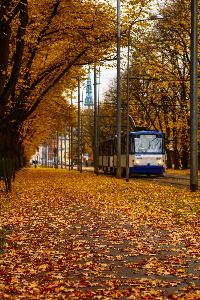 Photograph by Ilze Ose