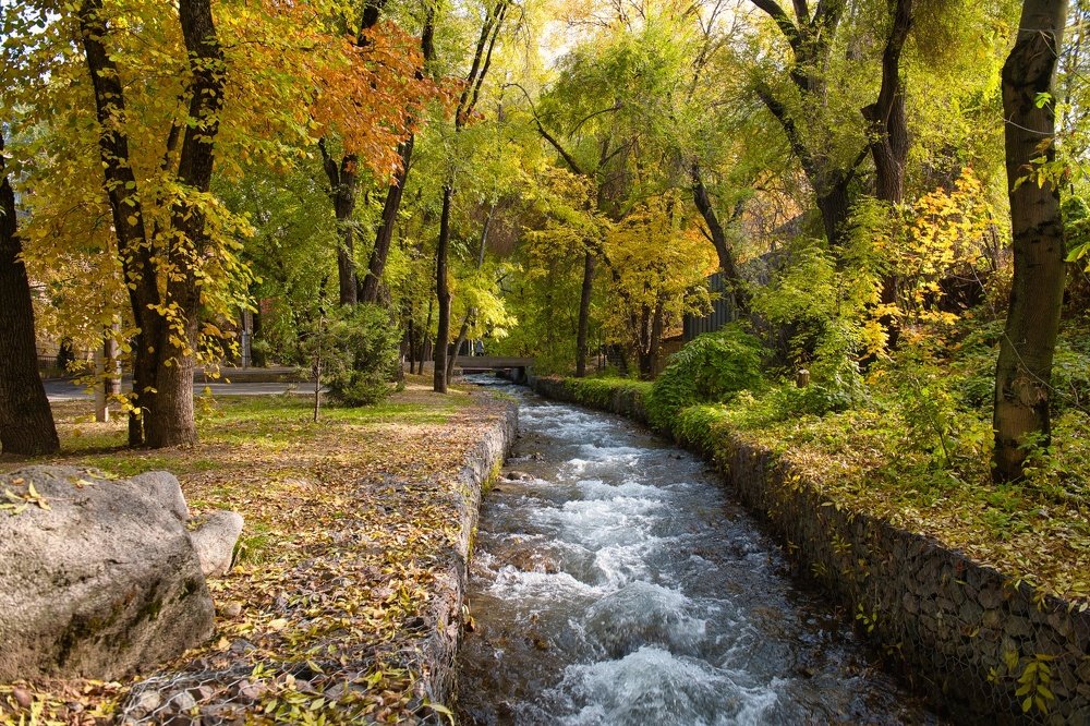 Photograph by Михаил Ноеренчук