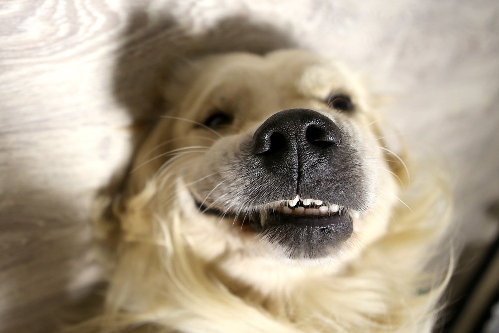 Photograph by Попова Светлана