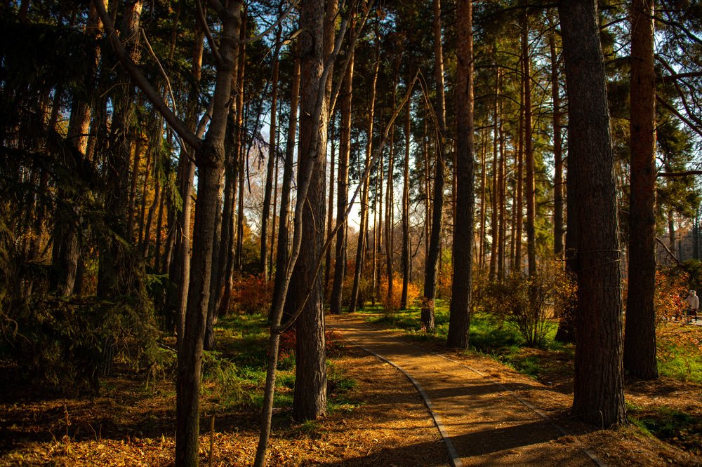 Photograph by Михаил Ноеренчук