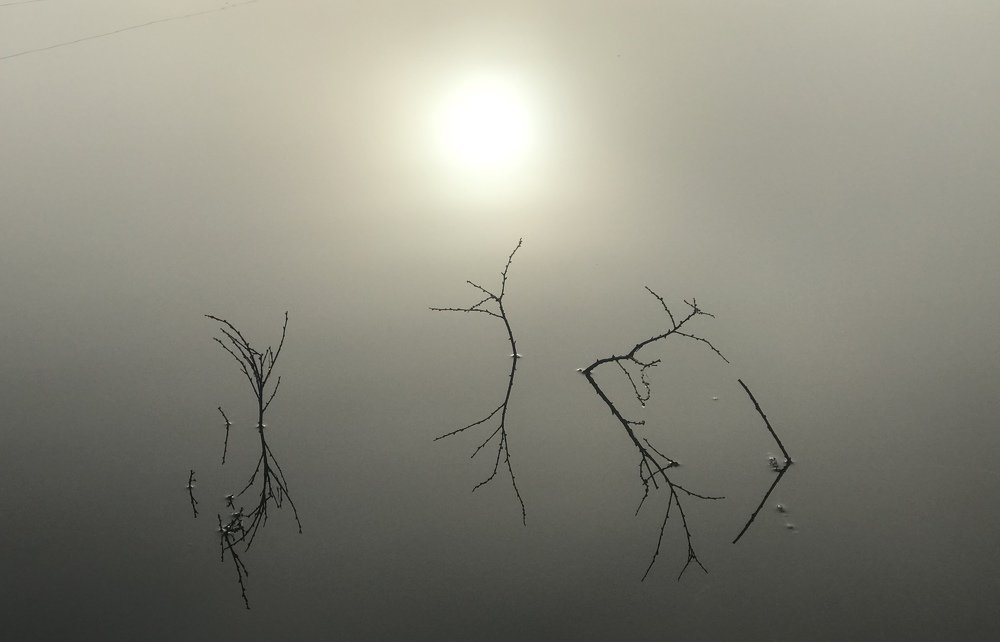 Photograph by Евгения Лебедева