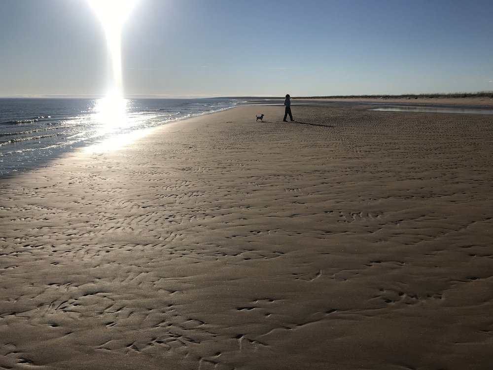 Photograph by Евгения Лебедева