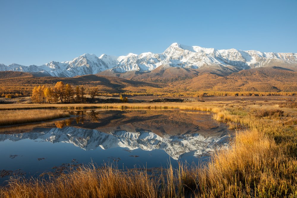 Утренняя тишина