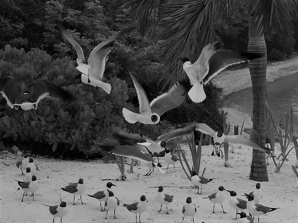 Photograph by Галина