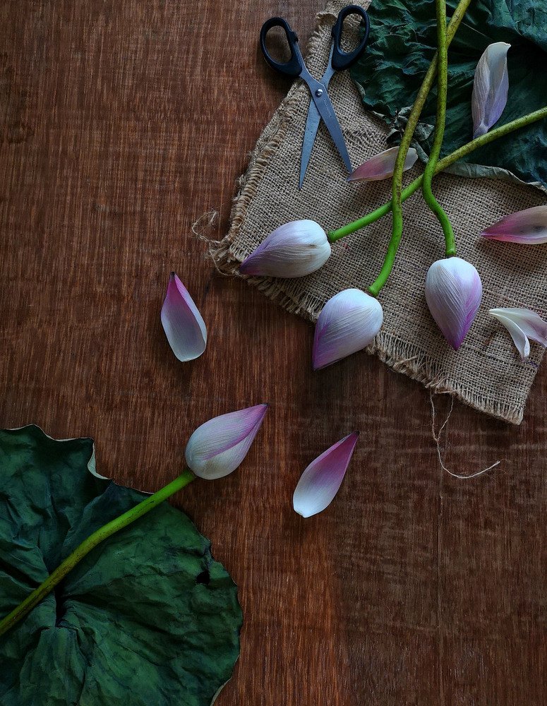 Photograph by Moon Moon Hossain