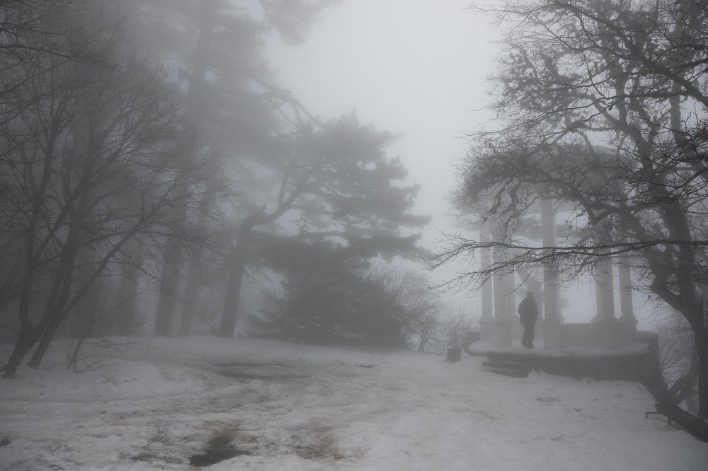 Photograph by Елена Станькова