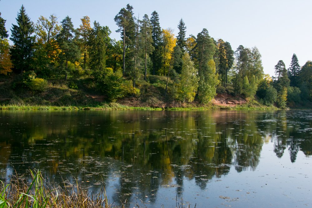 Photograph by Юлия Алифанова