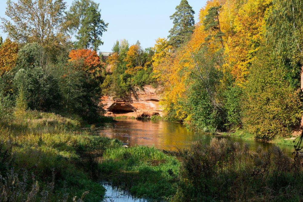Photograph by Юлия Алифанова
