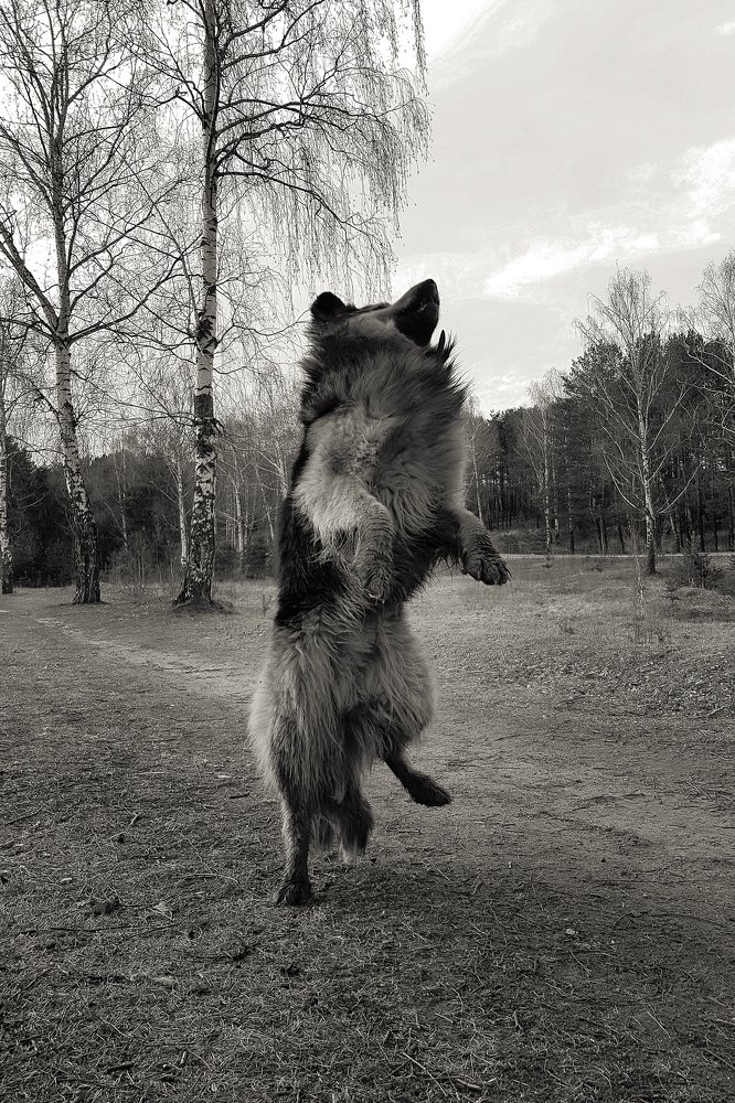 Photograph by Инна Тычная