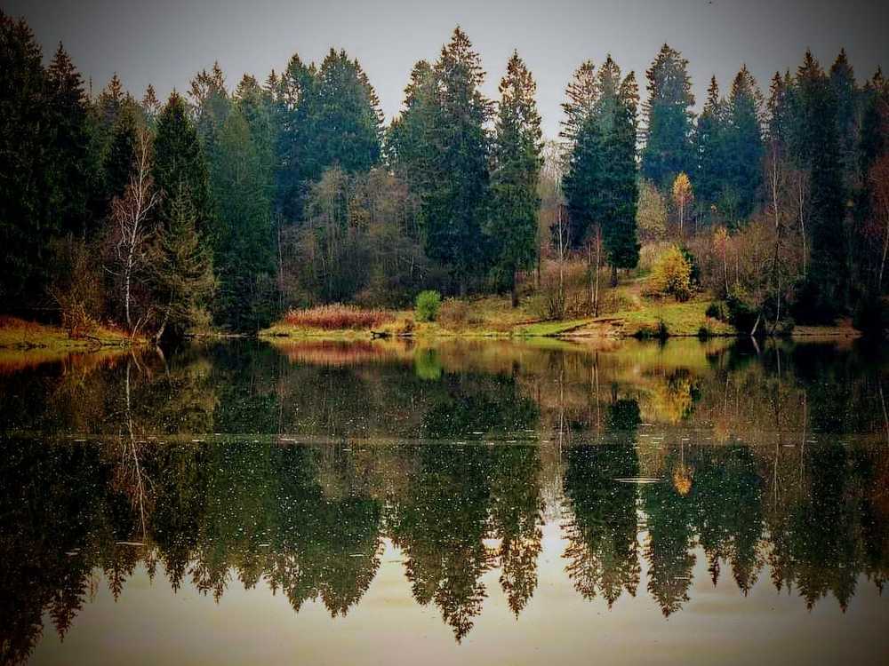 Там живут хоббиты...