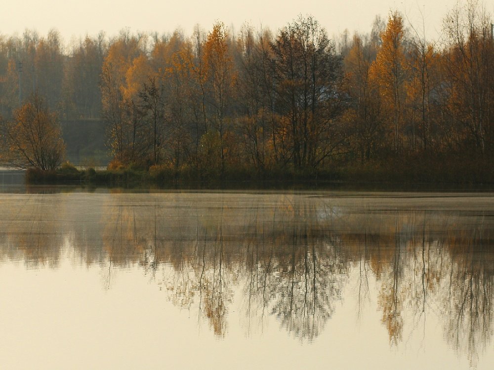 Утро на озере