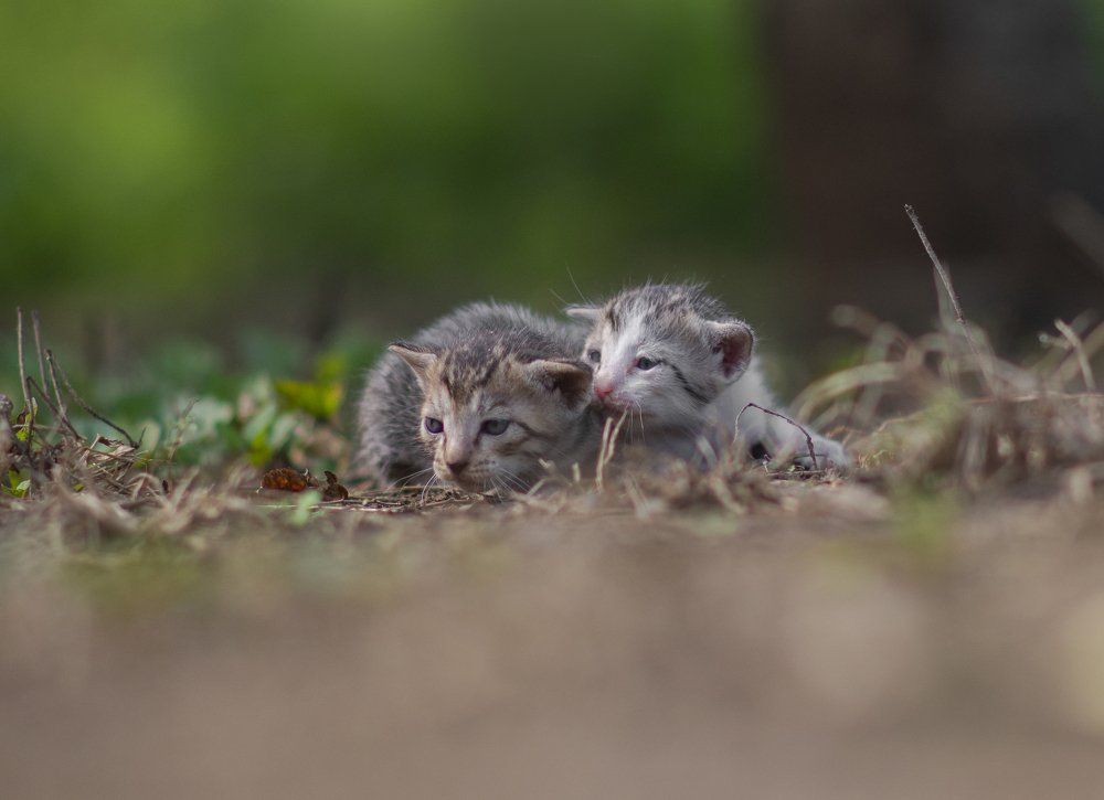 .........JUST.....PAUSE....AND....RELAX..