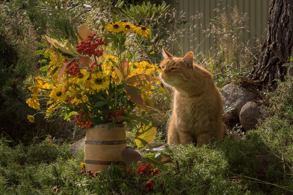 Photograph by Светлана Давыдова