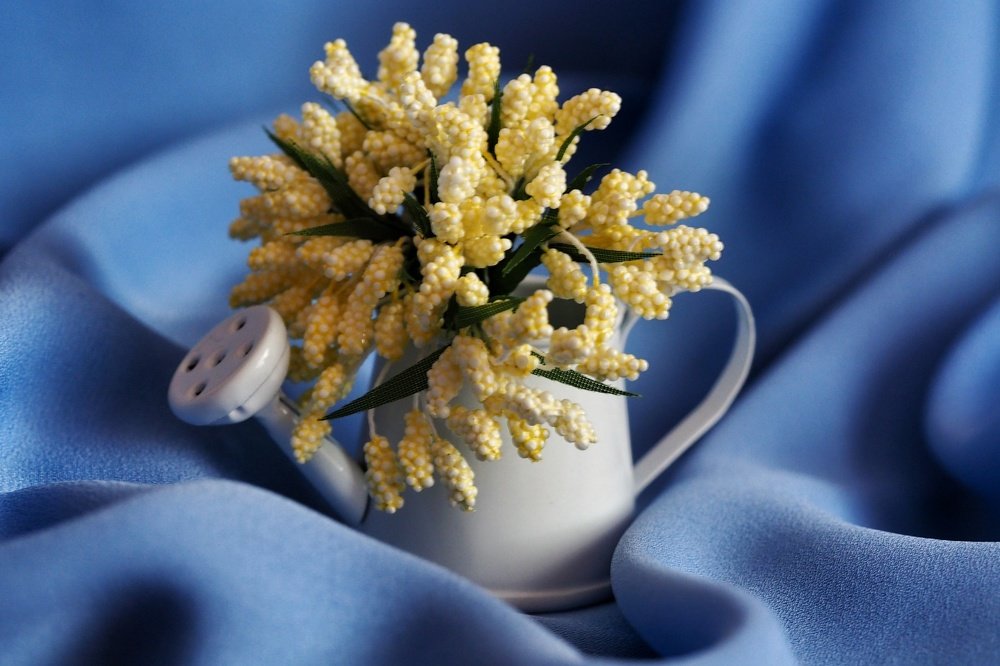 Photograph by Ирина