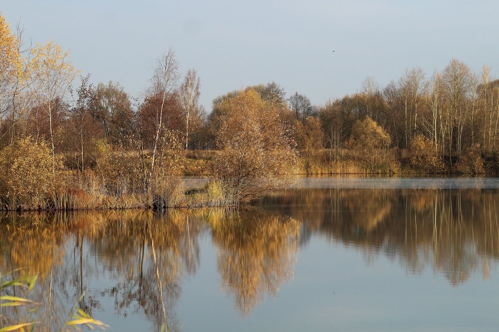 Photograph by Светлана Богомолова