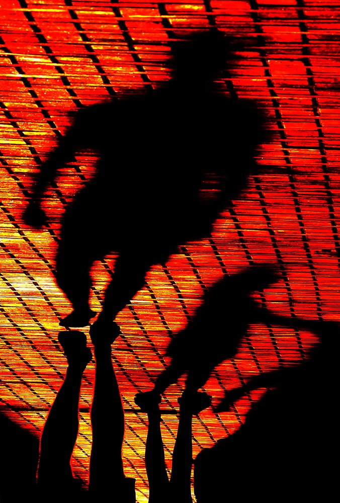 Photograph by Диана Арье