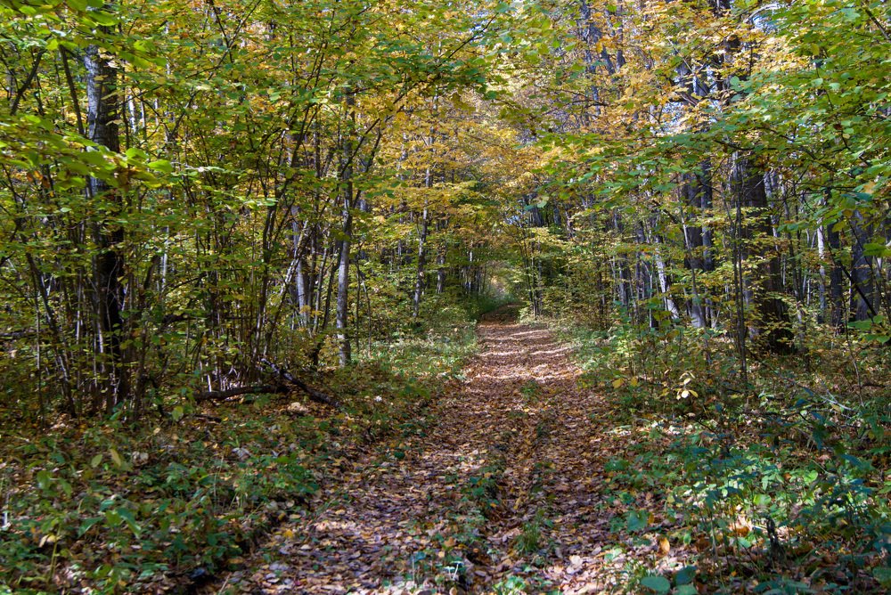 Photograph by Денис Геранькин