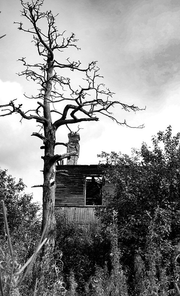 Photograph by Надежда Меркулова