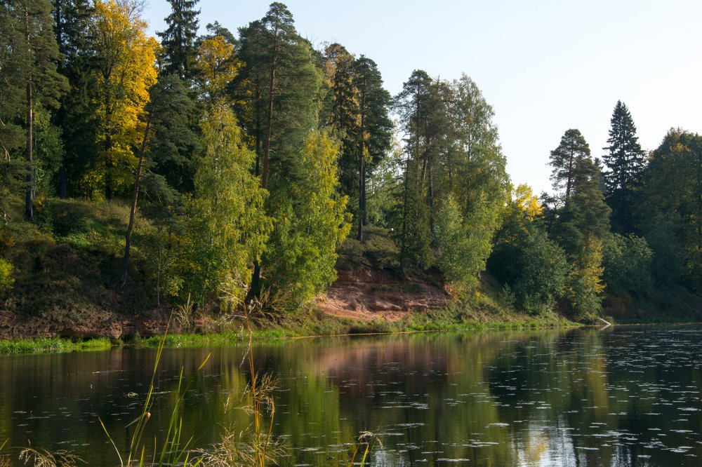 Photograph by Юлия Алифанова