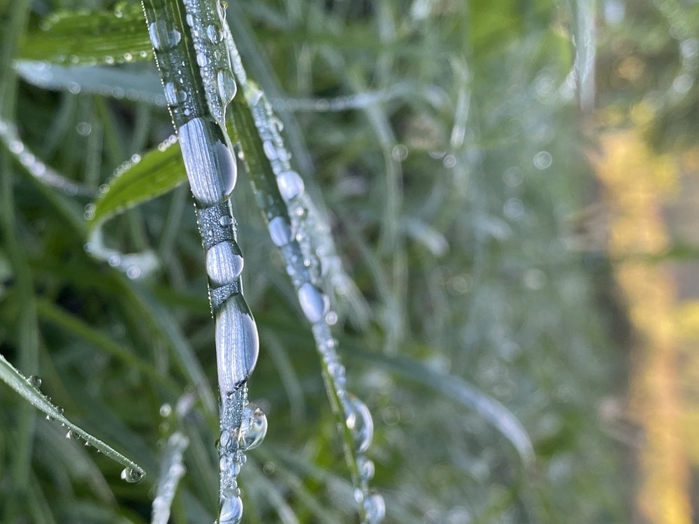 Photograph by Елена Борисова