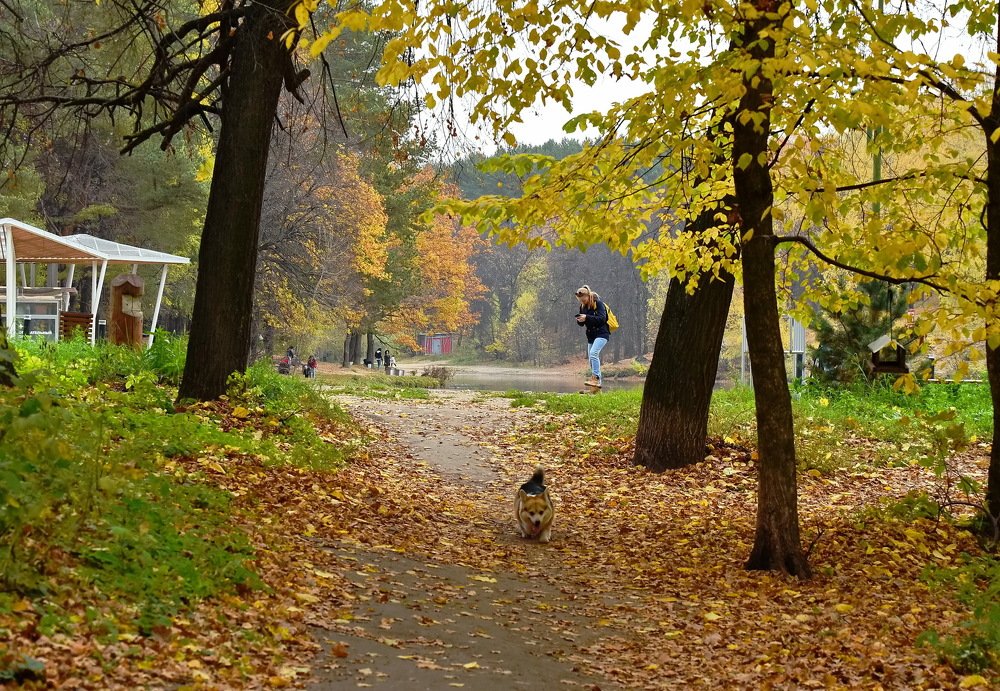 Photograph by Юрий Платухин
