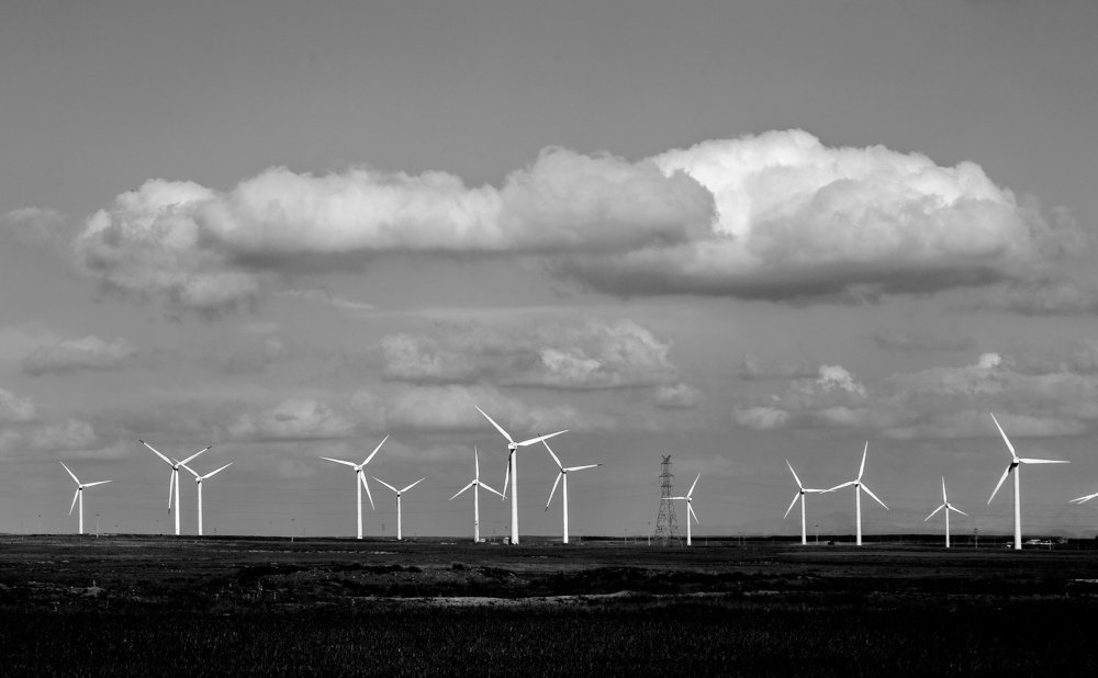 Photograph by kimiya Rastgou Moghadam