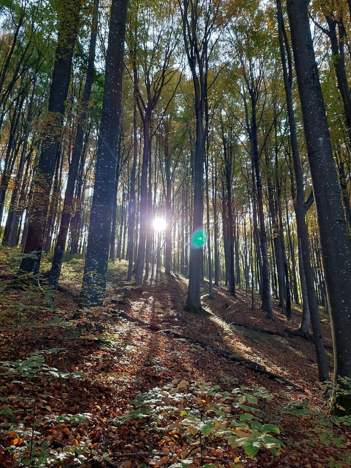Промінь.