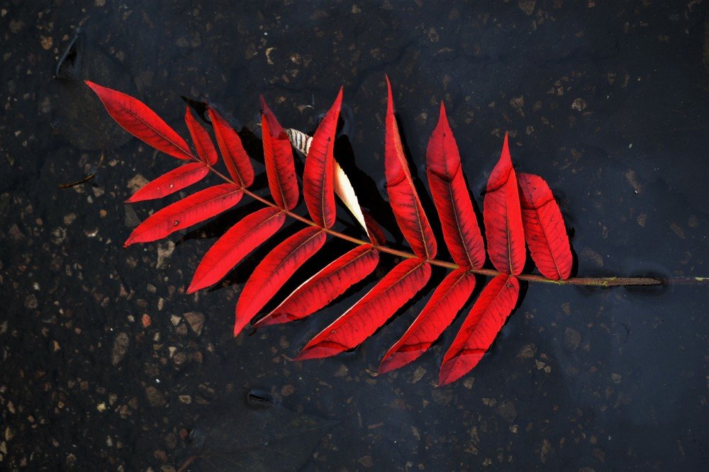 Photograph by Patrycja