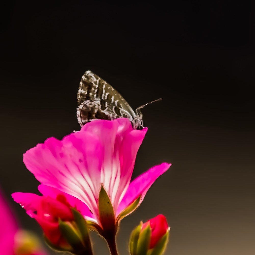 Photograph by GUNSEL SECKİNER