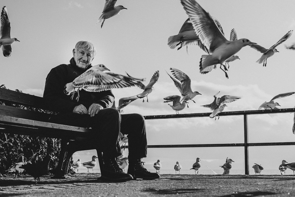 Photograph by Akunzt