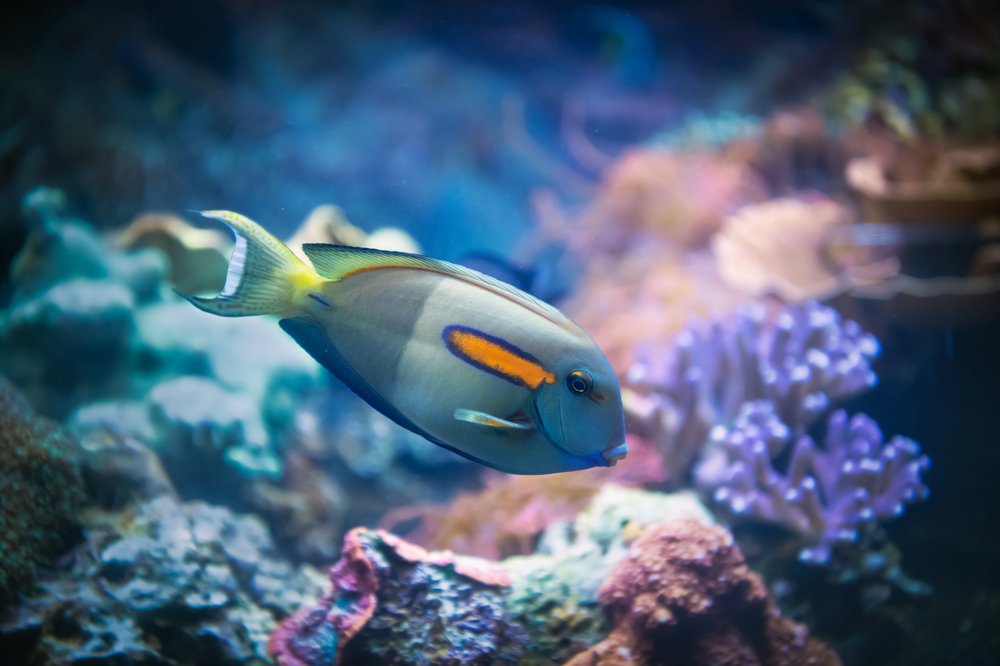 Photograph by  HITTHEROAD