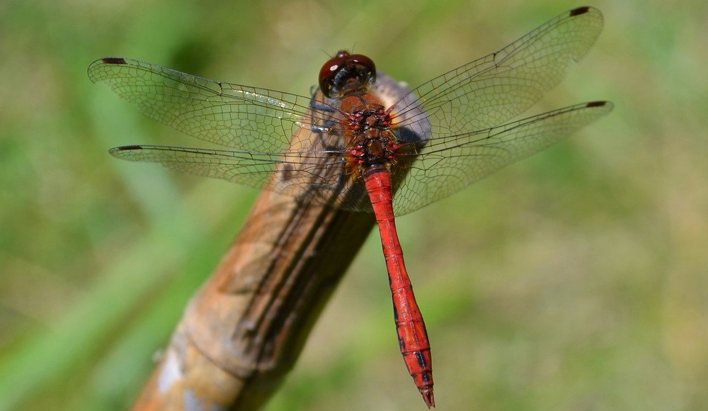 Photograph by Patrycja