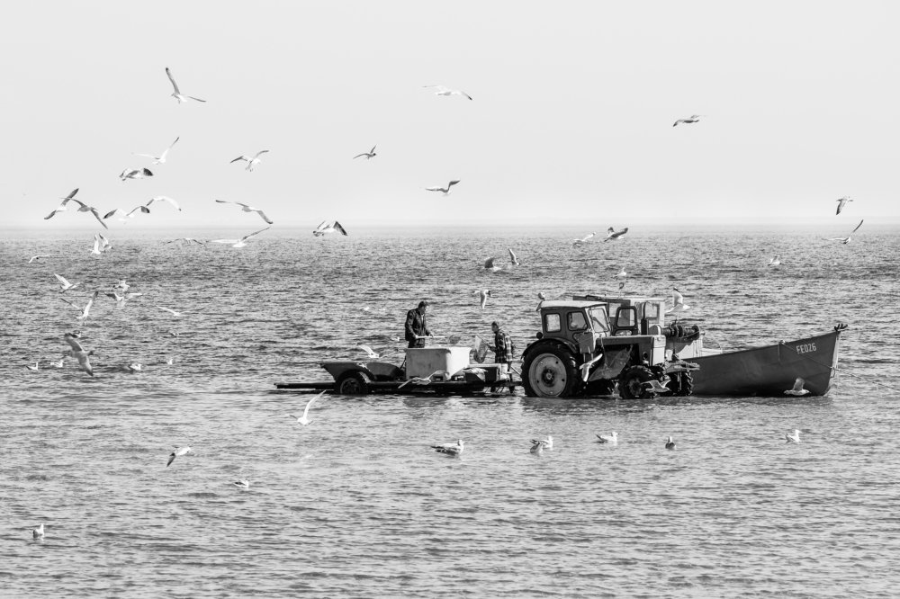 Photograph by Ivars Salmanis