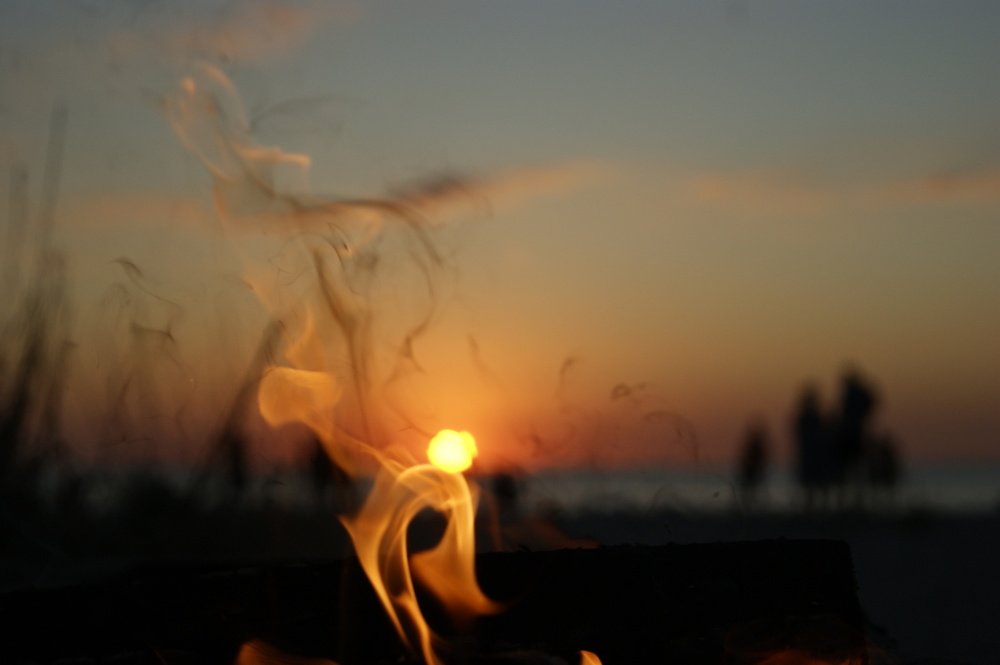 Огненный цветок заката