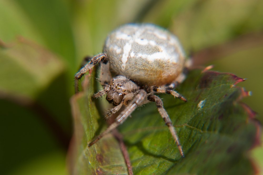 Photograph by Мария Середа