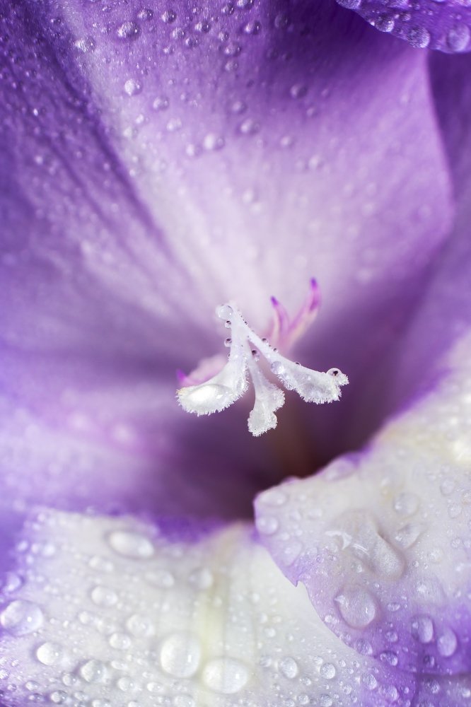 Photograph by Елена Абдураманова