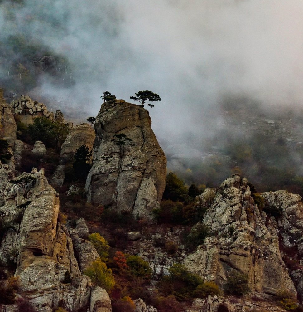 Photograph by Karasev Pavel