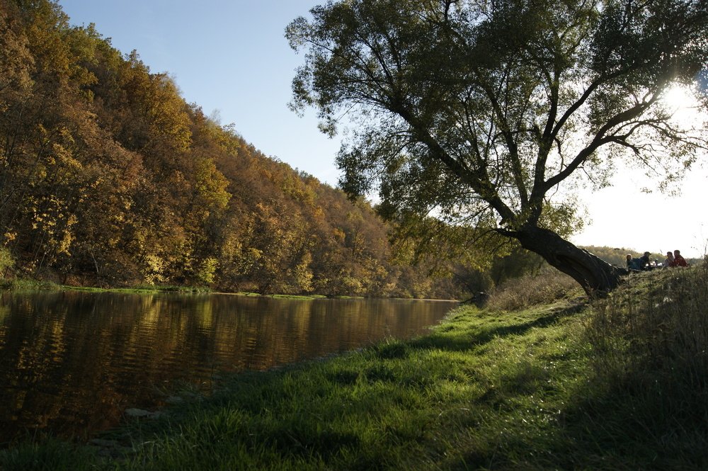 Вечерний пикник
