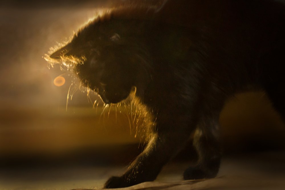 Photograph by Виктория Нарчук