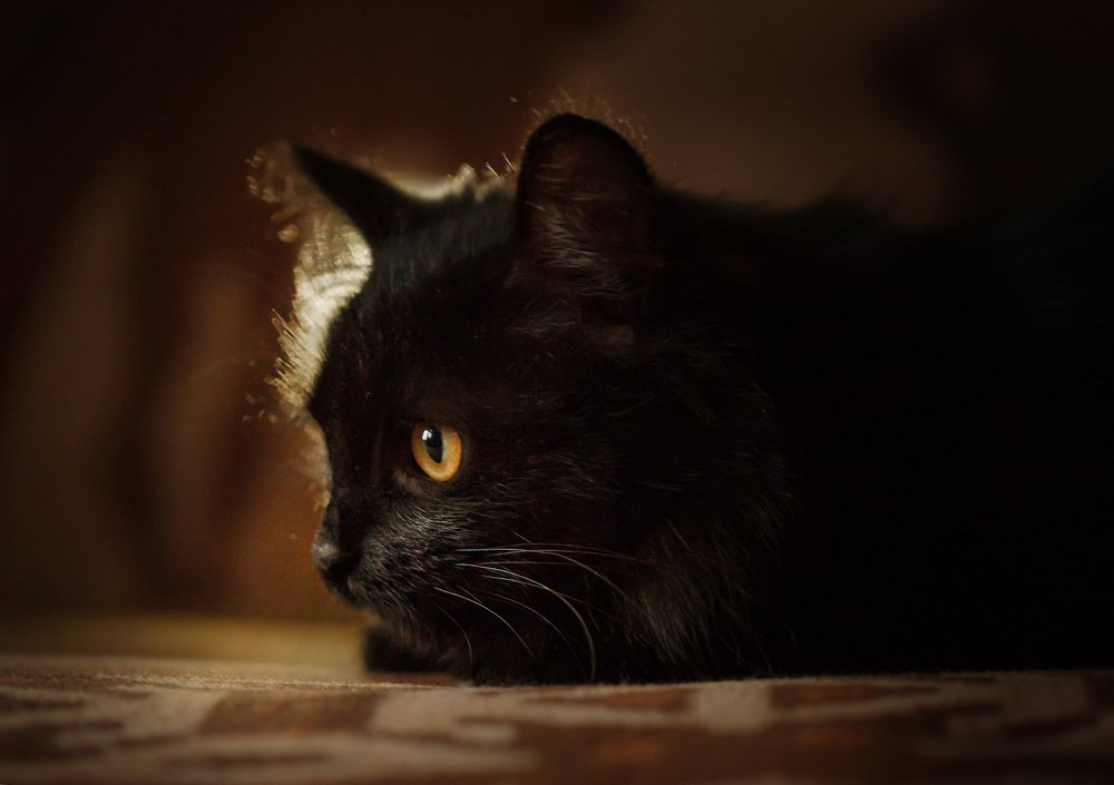 Photograph by Виктория Нарчук