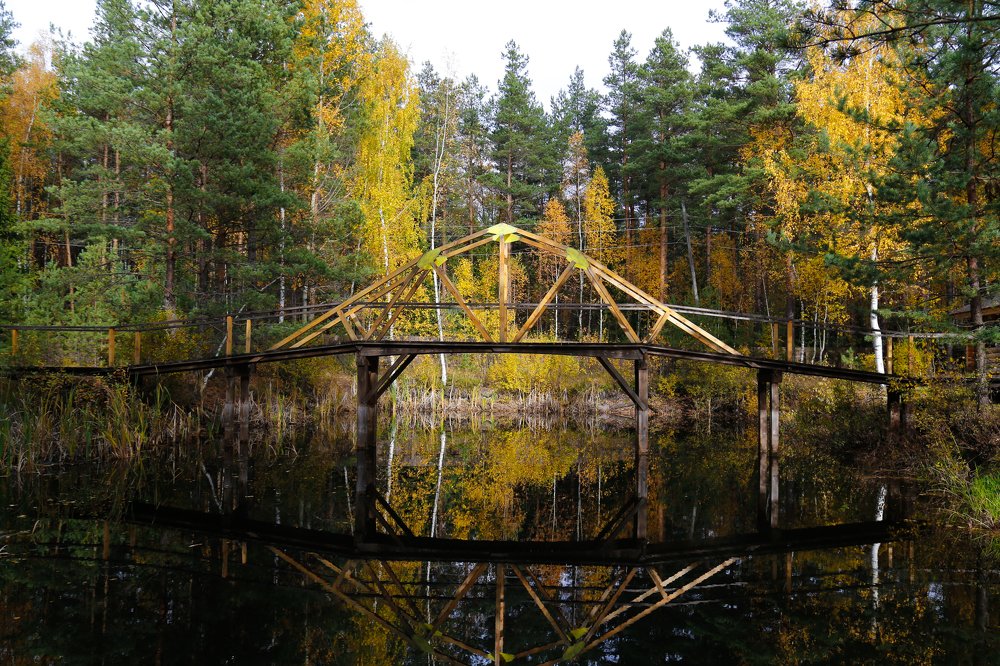 Photograph by Елена Буканина