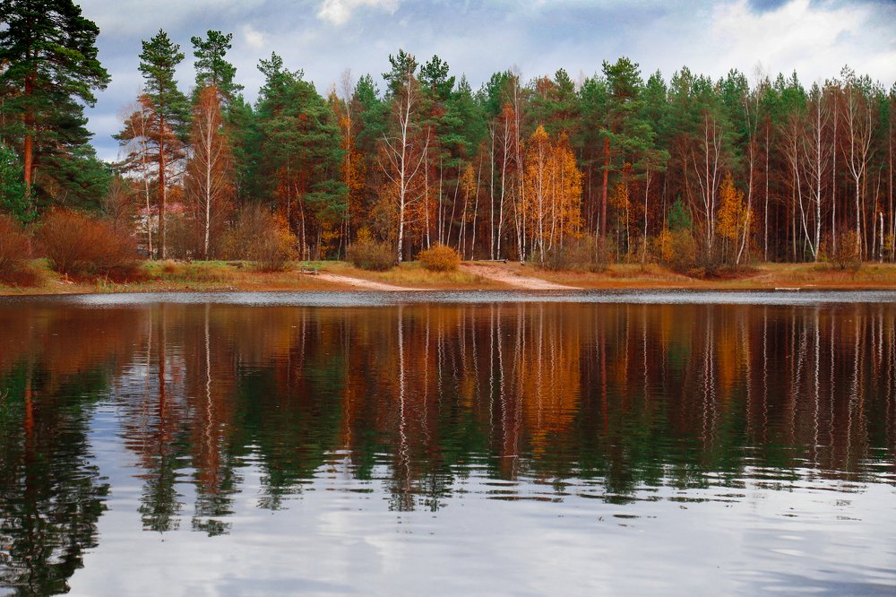 Photograph by Елена Буканина