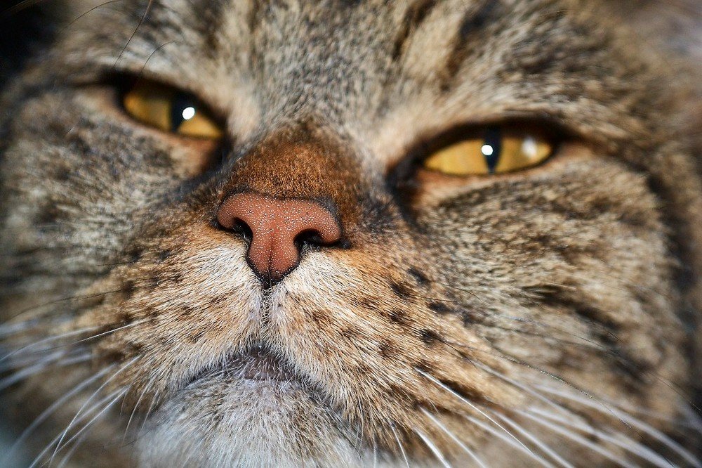 Photograph by Patrycja