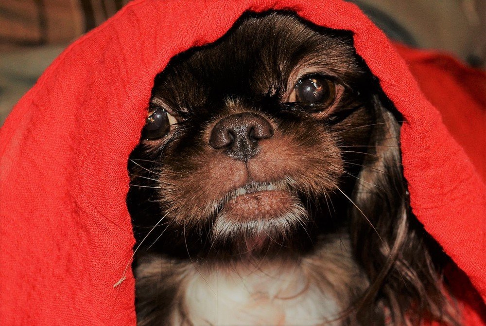 Photograph by Patrycja