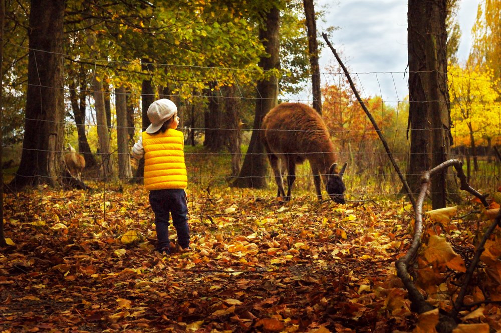 Photograph by Наталья Гайдар