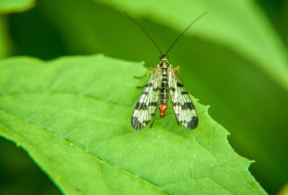 Photograph by Лозинский Ярослав