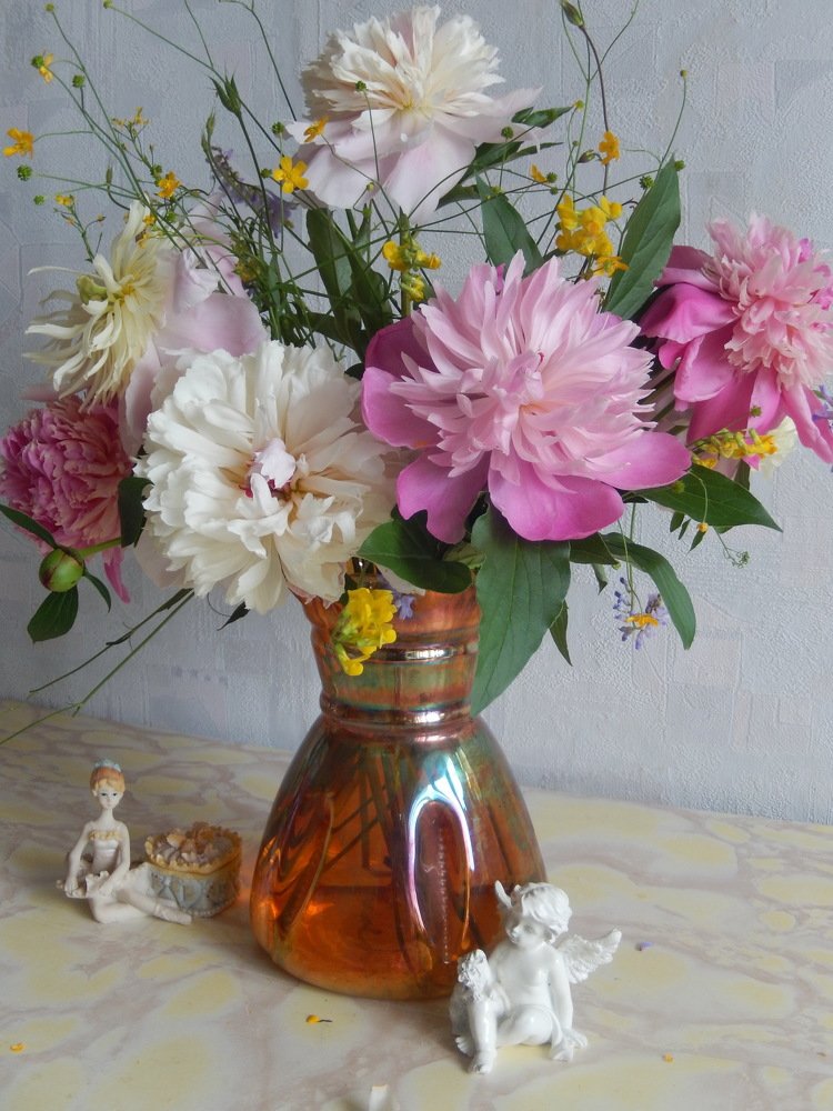 Фотография автора Клавдия Васильева