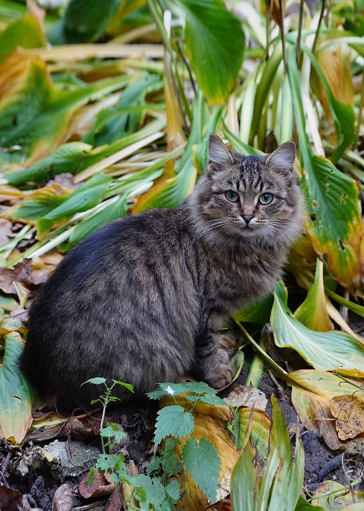 Photograph by Алёна Алешкевич