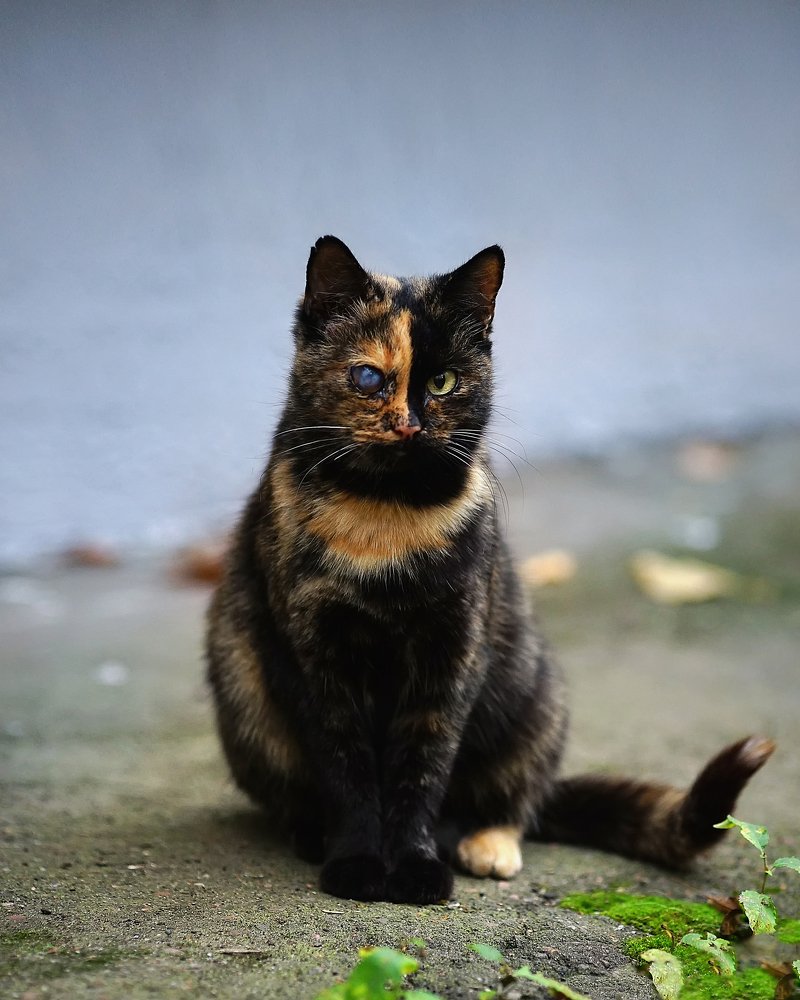 Photograph by Алёна Алешкевич